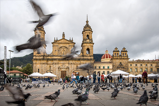 The image shows a bustling Plaza de Bolívar in Bogotá, Colombia. The cathedral features two large bell towers with ornate architectural details and a central pediment. In the foreground, numerous pigeons are captured mid-flight and scattered across the ground. A group of people, including tourists and locals, stand and walk around the plaza. To the right of the cathedral, a small building with a distinctive red dome is visible. The surrounding sky is overcast, adding a muted, soft light to the scene. A row of white tents lines the edge of the square, suggesting a market or event.